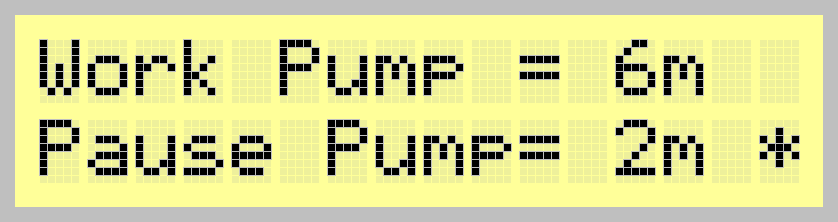 Экран: Work Pump = 6m Pause Pump= 2m *